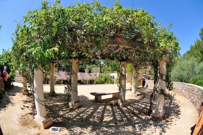Les Oliviers Apartman Balaruc-les-Bains Kültér fotó