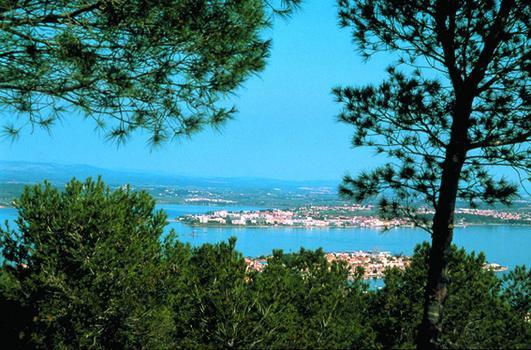 Les Oliviers Apartman Balaruc-les-Bains Kültér fotó